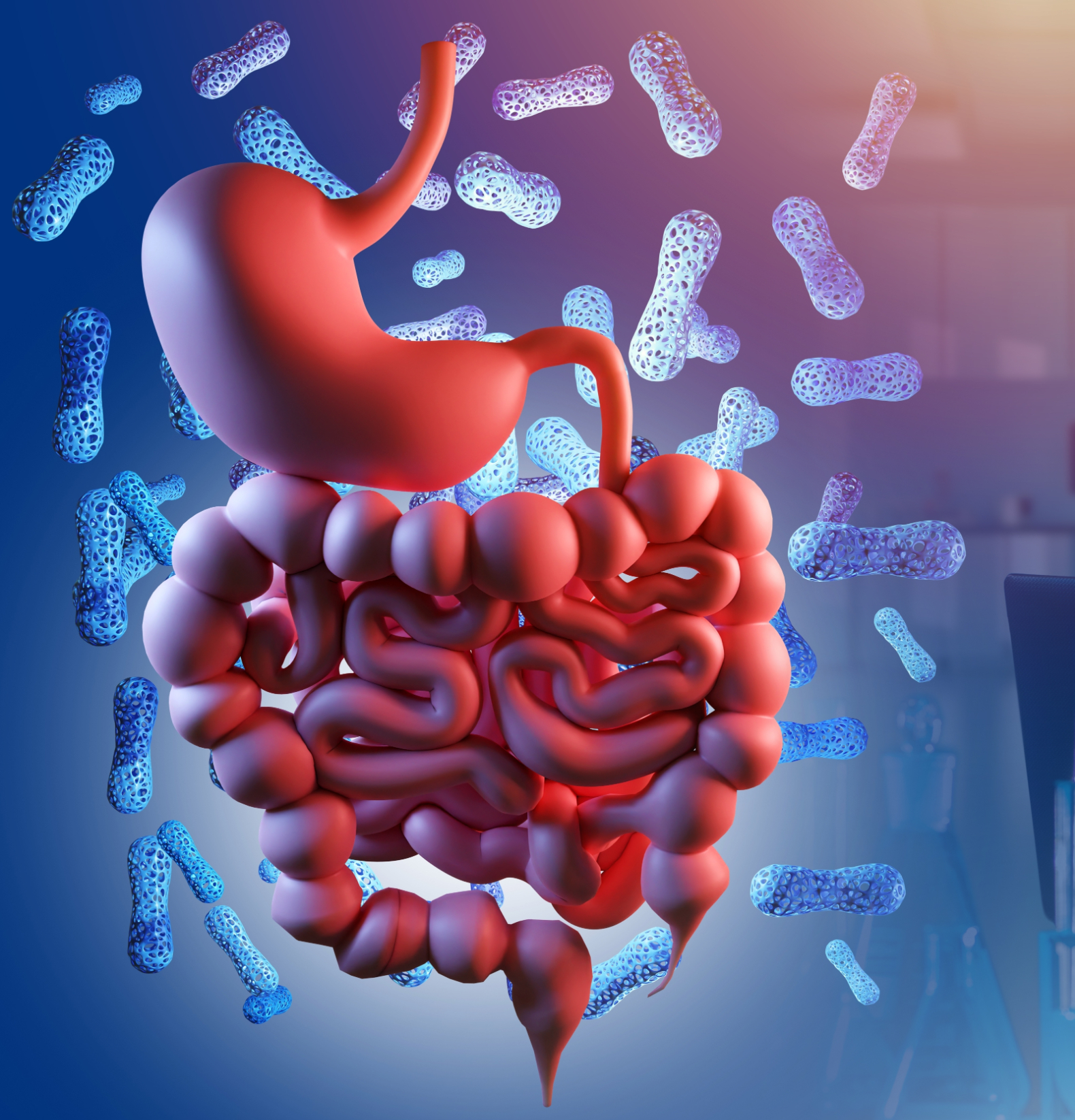 Gastrointestinal Disorders | Lifespan Health 1 Illustration of the GI tract, representing gastrointestinal disorders.
