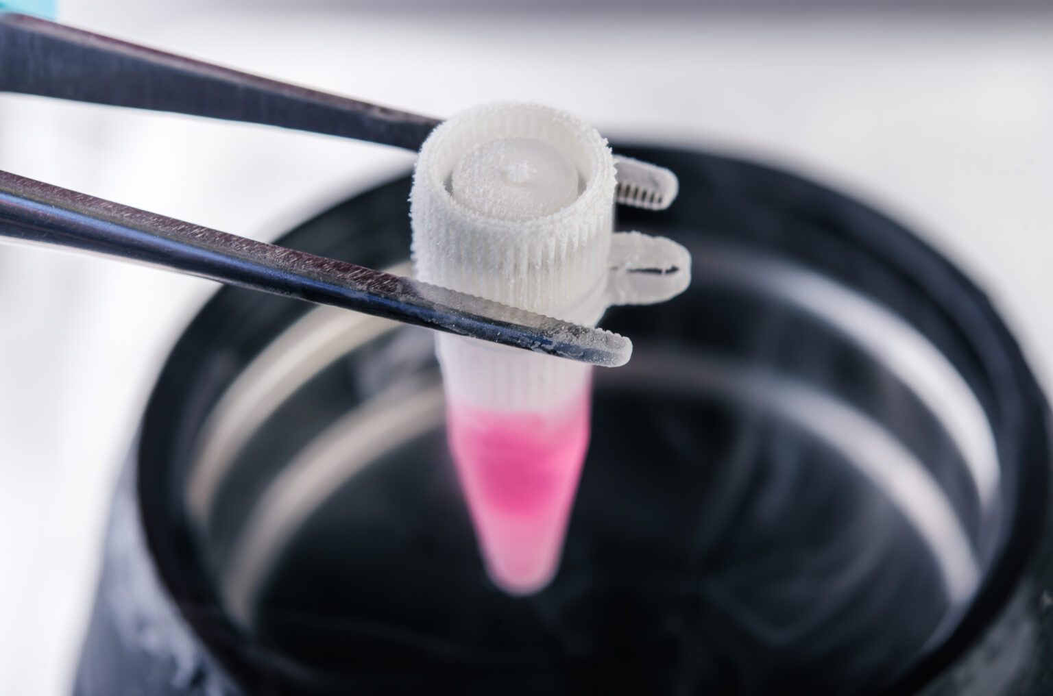 Tweezers holding a cryo sample vial to represent regenerative medicine