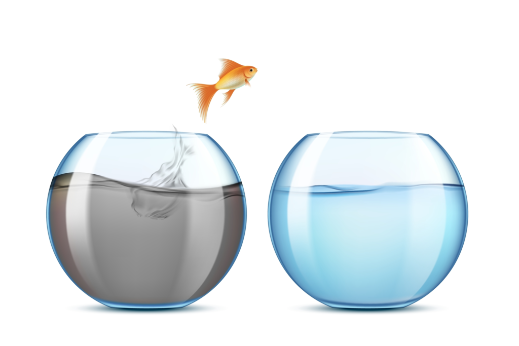 Medical Detoxification | Lifespan Health 2 Goldfish jumping from dirty to clean fishbowl to represent medical detoxification