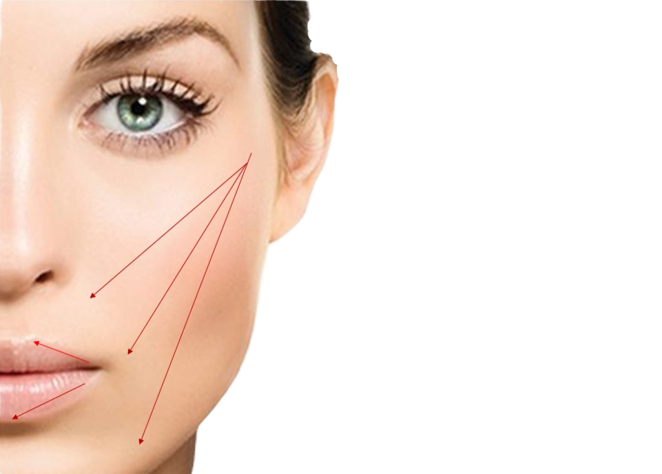 PDO Threads 2 Woman with vector lines on cheek, representing PDO Threads